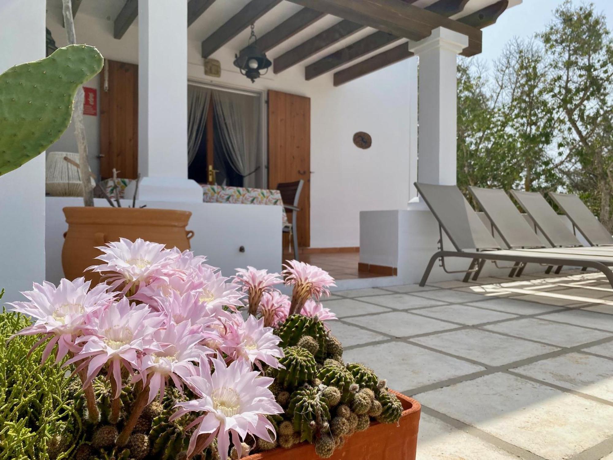 Ses Oliveres Cala Saona Dış mekan fotoğraf