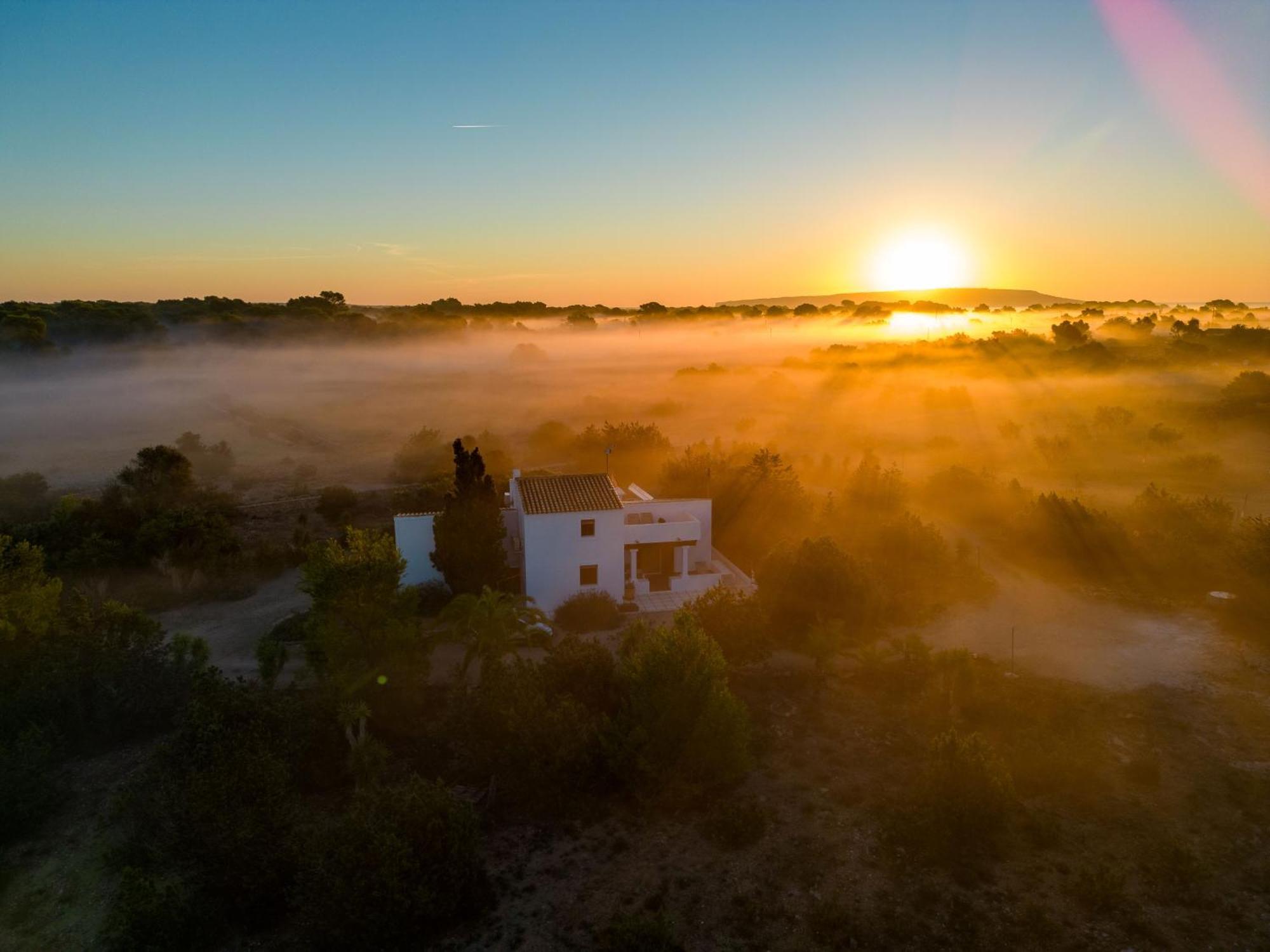 Ses Oliveres Villa Cala Saona Dış mekan fotoğraf