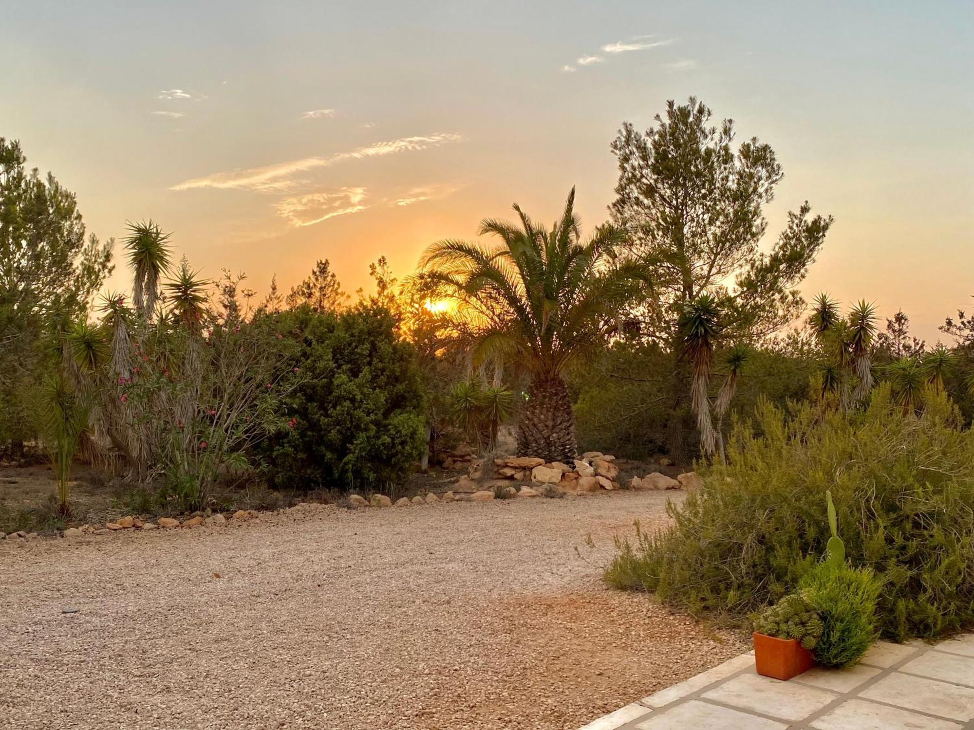 Ses Oliveres Villa Cala Saona Dış mekan fotoğraf